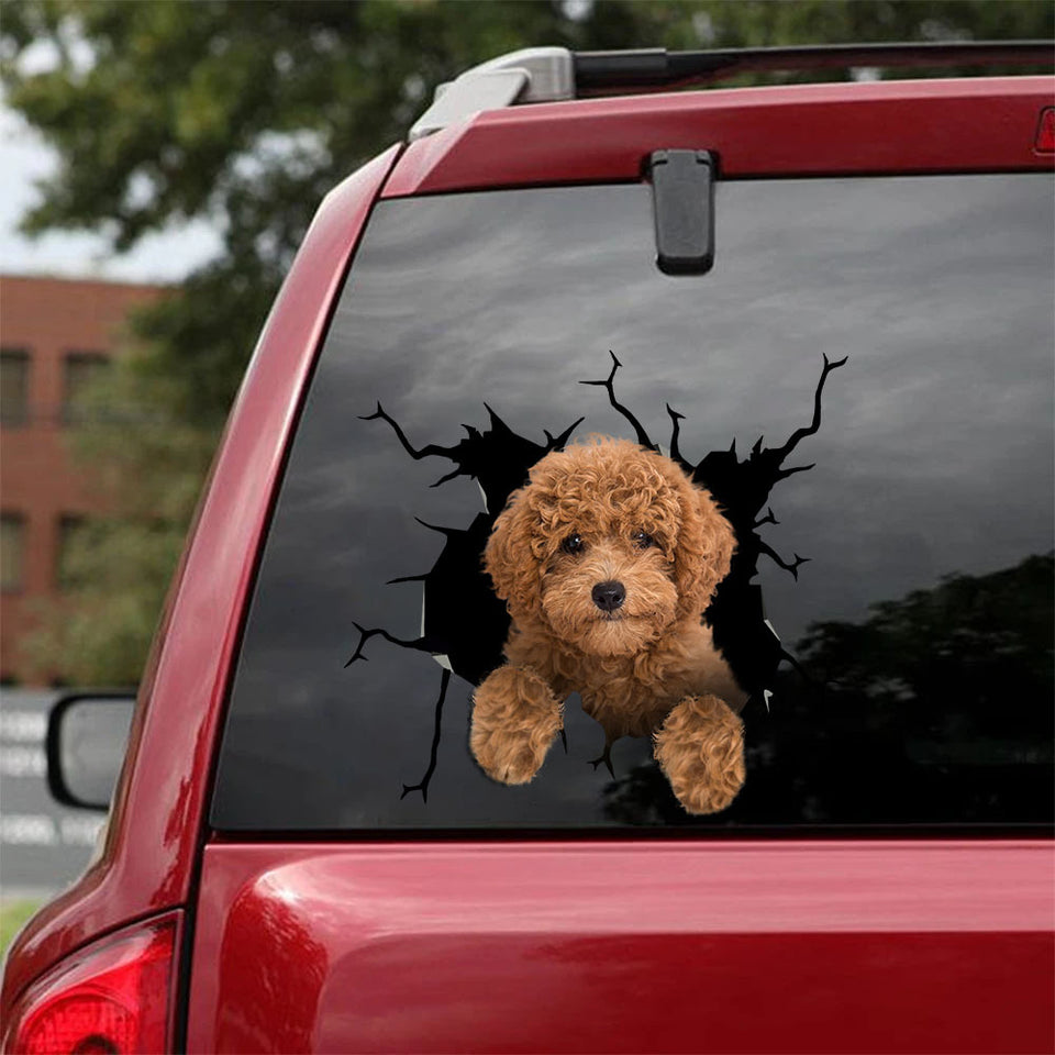 [sk1760-snf-tnt]-golden-poodle-crack-sticker-dogs-lover