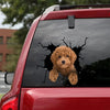 [sk1760-snf-tnt]-golden-poodle-crack-sticker-dogs-lover
