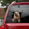 [sk1762-snf-tnt]-golden-poodle-crack-sticker-dogs-lover