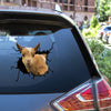 Funny Nigerian dwarf goat crack vinyl sticker decal for water bottles, tumblers, and laptops.