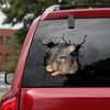 [sk1801-snf-tnt]-javelina-crack-car-sticker-hunting-lover