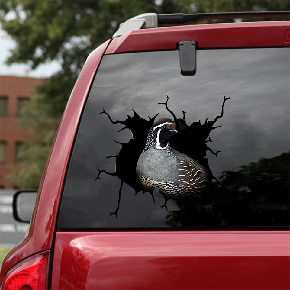 [sk1804-snf-tnt]-quail-crack-car-sticker-hunting-lover