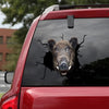 [sk1806-snf-tnt]-wild-boar-crack-car-sticker-hunting-lover