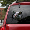 [sk1807-snf-tnt]-wild-boar-crack-car-sticker-hunting-lover