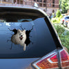 Wolf crack sticker in a lovely 3D design for water bottles, laptops, and other smooth surfaces