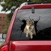 [sk1816-snf-lad]-wolf-crack-sticker-animals-lover