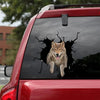 [sk1817-snf-lad]-wolf-crack-sticker-animals-lover
