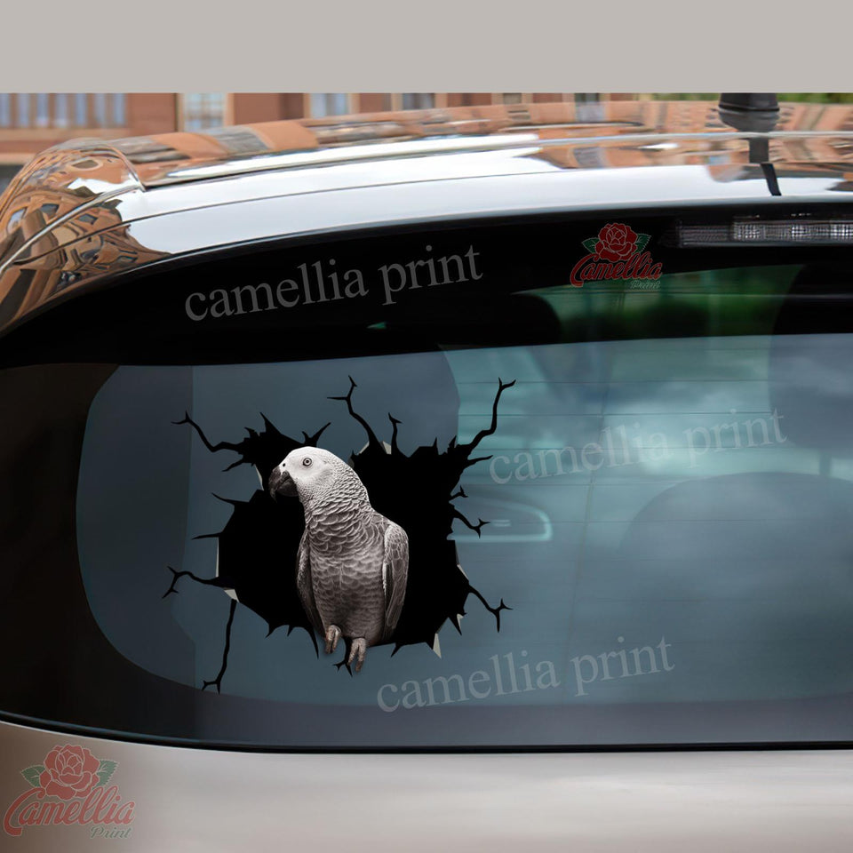 Parrot Crack sticker in cute die-cut waterproof vinyl for cars, laptops, tumblers, water bottles, and windows