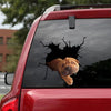 Shar Pei Crack Stickers For Cars Funny Friendship Stickers Gifts For Parents - General die-cut waterproof vinyl sticker decal