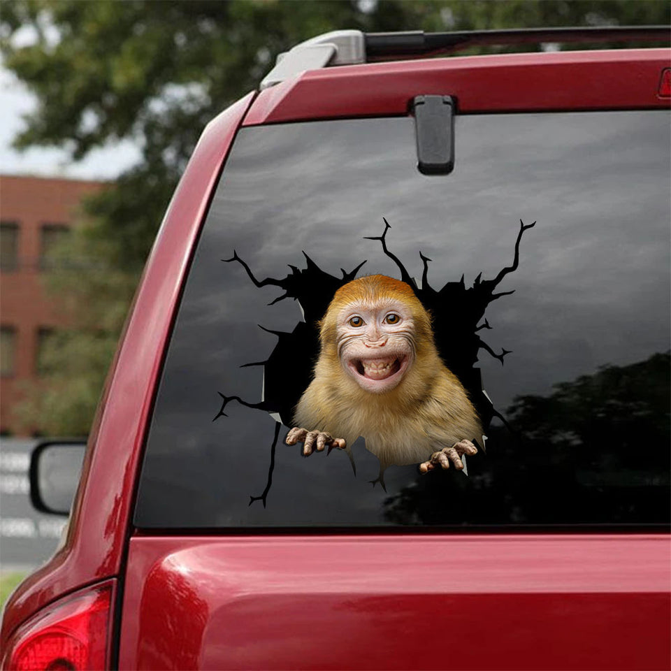 [sk1924-snf-tnt]-funny-monkey-crack-sticker-animals-lover