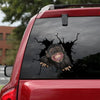 [sk1925-snf-tnt]-funny-monkey-crack-sticker-animals-lover