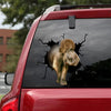 [sk1955-snf-ptd]-elephant--crack-car-sticker-animals-lover