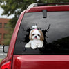 [sk0774-snf-tpa]-pomeranian-crack-car-sticker-dogs-lover