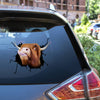 Highland Cow Crack Stickers For Cars Funny Transfer Stickers Stuffer Ideas For Women