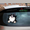 Border Collie Crack Decals For Windows Funny Gifs Custom Car Stickers Christmas Gifts For Boyfriend
