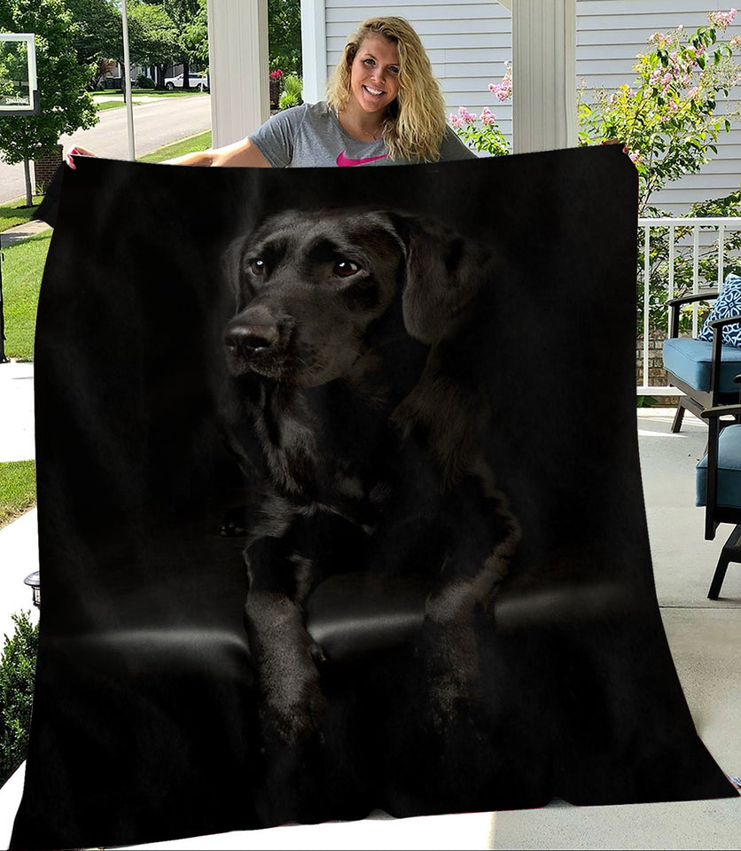 [ha0106-tnt]-labrador-fleece-blanket