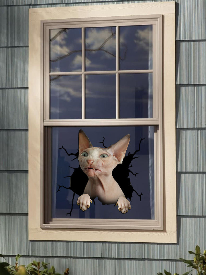 [da0014-snf-tnt]-sphynx-cat-crack-car-sticker-cats-lover