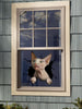[da0014-snf-tnt]-sphynx-cat-crack-car-sticker-cats-lover