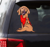 [th0725-snf-ptd]-vizsla-crack-car-sticker-dogs-lover