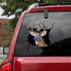 [sk1328-snf-tnt]-white-tailed-deer-crack-sticker-hunting-lover