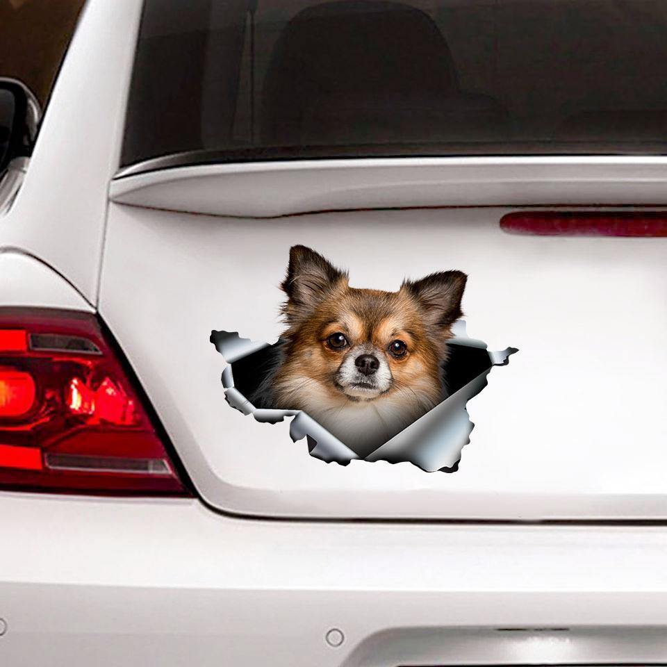 [sk0136-snf-ptd]Funny chihuahua car Sticker Lover - Camellia Print