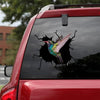[sk1752-snf-tnt]-hummingbird-crack-sticker-bird-lover