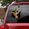 Hummingbird Crack Stickers For Cars Funny Quotes Custom Sticker Labels Christmas Present Ideas - General die-cut waterproof vinyl sticker decal