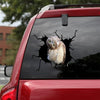 [sk1561-snf-tnt]-owl-crack-car-sticker-pets-lover