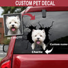 Funny shih tzu crack dog sticker in premium waterproof vinyl for cars, laptops, tumblers, and water bottles