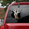 [sk1645-snf-tpa]-alpine-goat-crack-sticker-cattle-lover