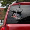[sk1902-snf-tnt]-dolphin-crack-car-sticker-sea-animals-lover