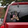 Cane Corso Crack Decal For Car Window Be Cute Car Decals Cool Christmas Gifts - Dog Lovers die-cut waterproof vinyl sticker decal