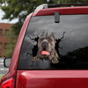 Cane Corso Crack Bumper Sticker Funny Gifs Avery Sticker Paper Christmas Gifts For Mom - Dog Lovers die-cut waterproof vinyl sticker decal