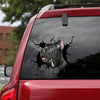 Cane Corso Crack Decal For Car Window Cute Sticker Designs Father's Day Gifts - Dog Lovers die-cut waterproof vinyl sticker decal
