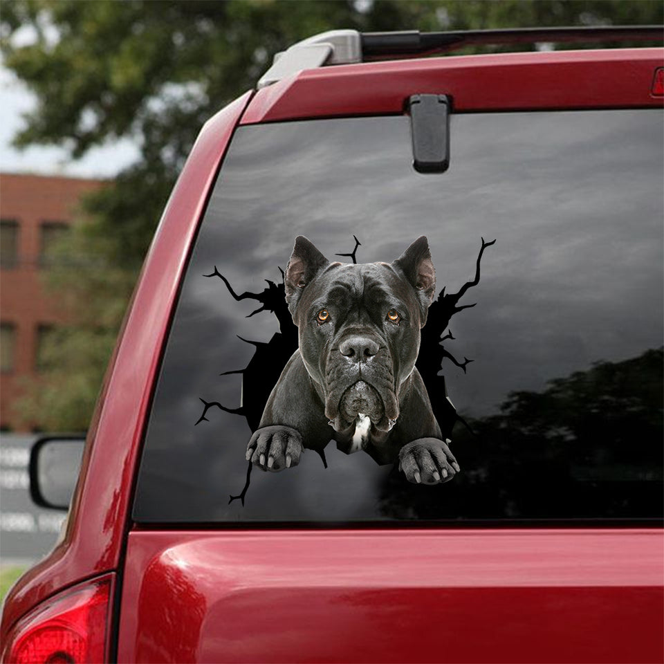 [dt0165-snf-tnt]-cane-corso-crack-car-sticker-dogs-lover