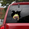 [sk1871-snf-tnt]-funny-frog-crack-car-sticker