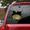 [sk1874-snf-tnt]-funny-frog-crack-car-sticker