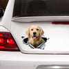 [sk0121-snf-ptd]Funny golden retriever car Sticker Lover - Camellia Print