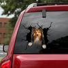 [sk1614-snf-tpa]-shetland-sheep-crack-car-sticker-dogs-lover