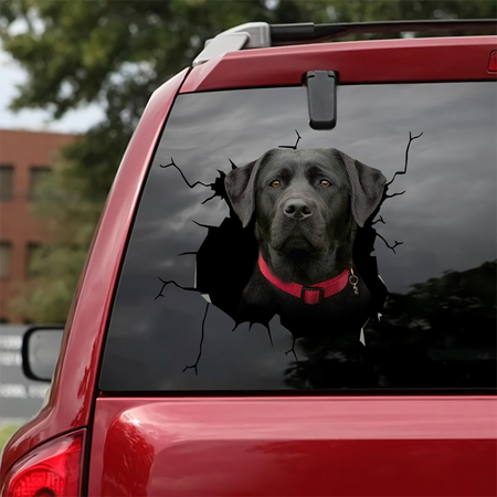 [sk0078-snf-vdt]-funny-labrador-sticker-dogs-lover