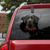 [sk0078-snf-vdt]-funny-labrador-sticker-dogs-lover