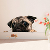 [ha0225-snf-ptd]-pug-crack-wall-decal