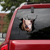 [sk1113-snf-ptd]-pig-crack-car-sticker-cattle-lover-