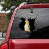 Parrot Crack Bumper Sticker Funny Memes Laptop Decals Edible Arrangements Delivery - General die-cut waterproof vinyl sticker decal