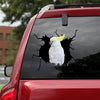 [sk1827-snf-tnt]-parrot-crack-sticker-birds-lover
