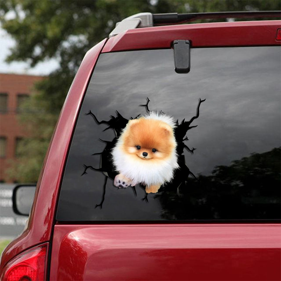 [sk0775-snf-tpa]-pomeranian-crack-car-sticker-dogs-lover