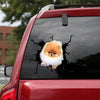 [sk0775-snf-tpa]-pomeranian-crack-car-sticker-dogs-lover